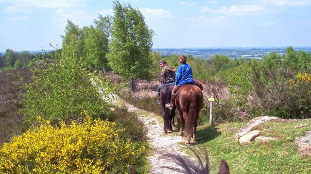 Randonnée à cheval au Puy Des Ages