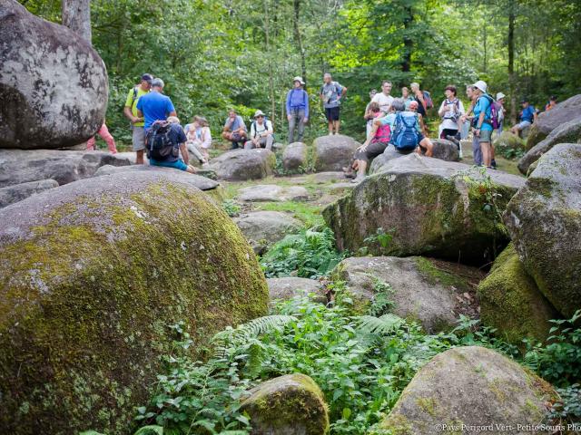 Randonnée sur le site du Roc branlant à Saint-Estèphe