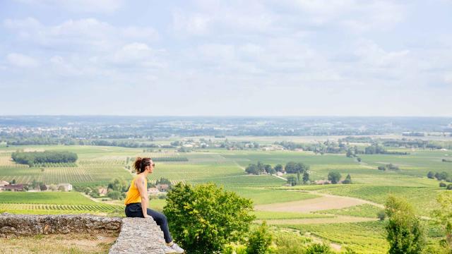 Vue sur le vignoble de Bergerac depuis le château de Monbazillac