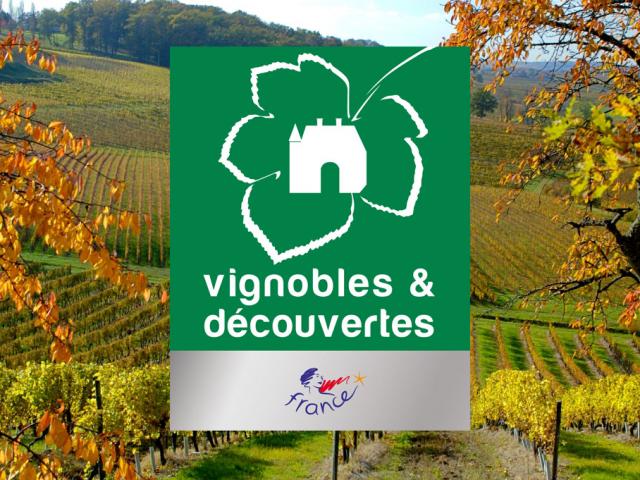 Vignobles et Découverte