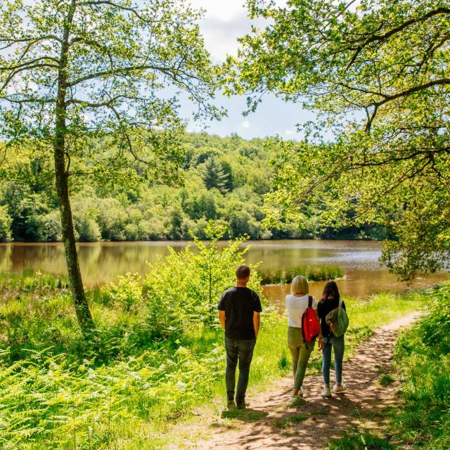 Tèrra Aventura dans le Parc naturel régional Périgord Limousin