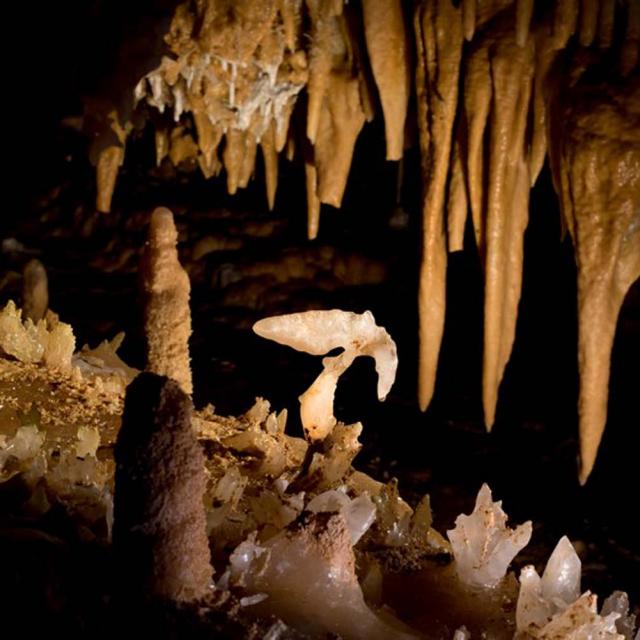 Grotte du Grand Roc aux Eyzies