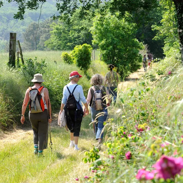 Randonnée pédestre en Dordogne