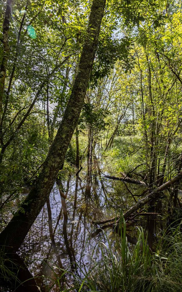 Zone natura 2000, Saint-Aulaye