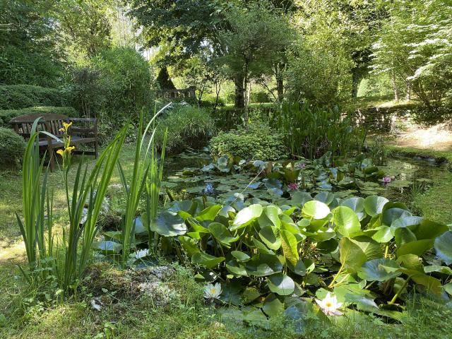 Les Jardins Tranquilles A Brantome Bassin Aux Nénuphars