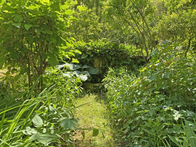 Les Jardins Tranquilles A Brantome Gargouille