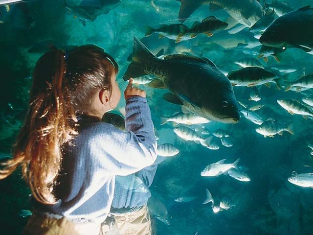 Aquarium du Périgord Noir