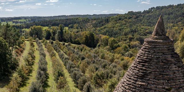 Expérience Truffe L'escapade à Lascaux