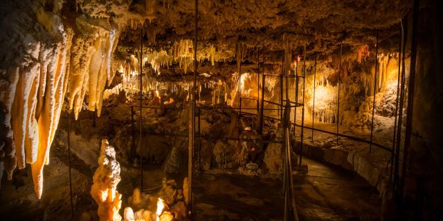 Grotte du Grand Roc - Les Eyzies