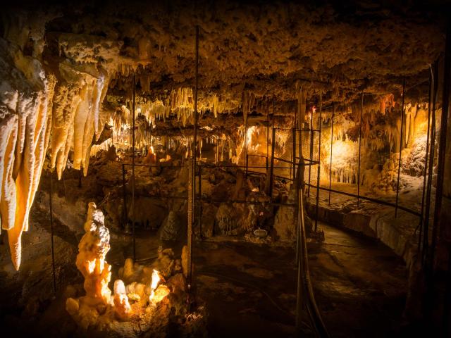 Grotte du Grand Roc - Les Eyzies