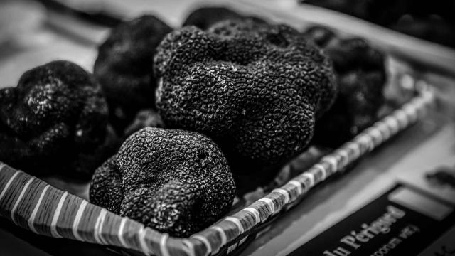 Marché aux Truffes en Dordogne