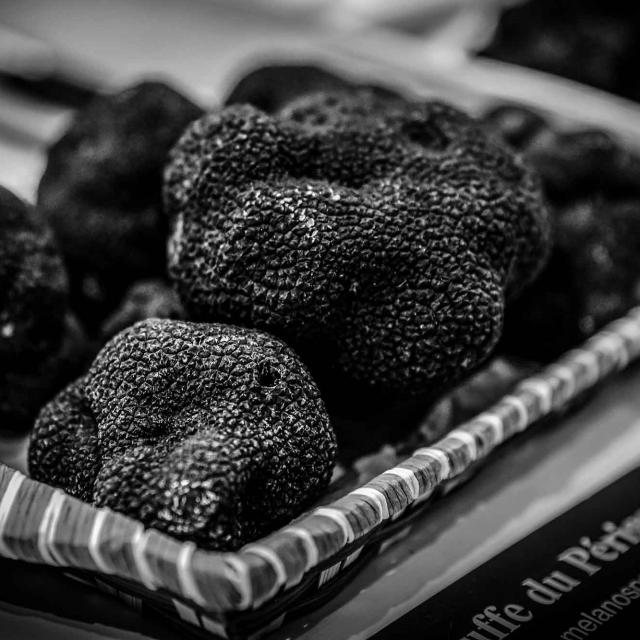 Marché aux Truffes en Dordogne