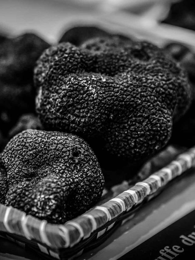 Marché aux Truffes en Dordogne