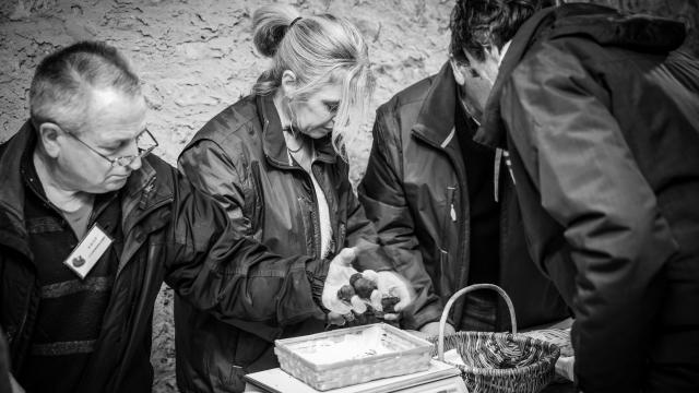 Marché aux truffes du Périgord