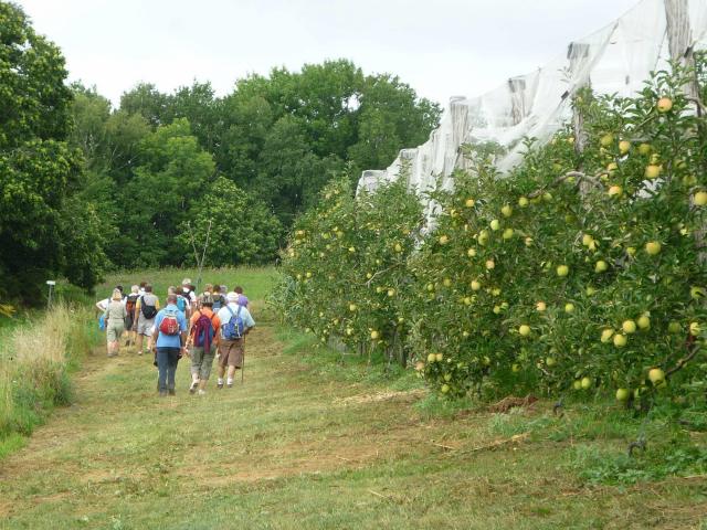 Randonnée de La Pomme du Limousin