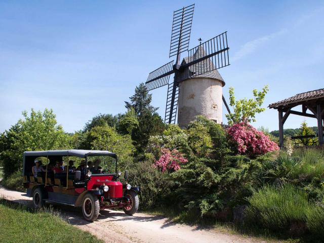 Parc Le Bournat au Bugue