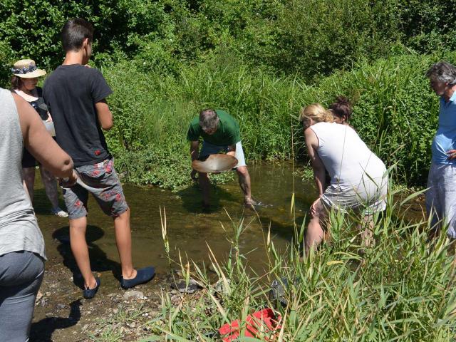 Activité orpaillage