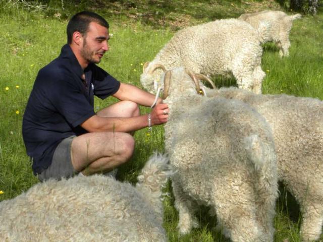 Ferme des 4 Vents à Peyrillac et Millac