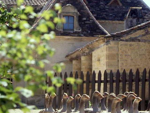 Domaine de Barbe à Badefols sur Dordogne