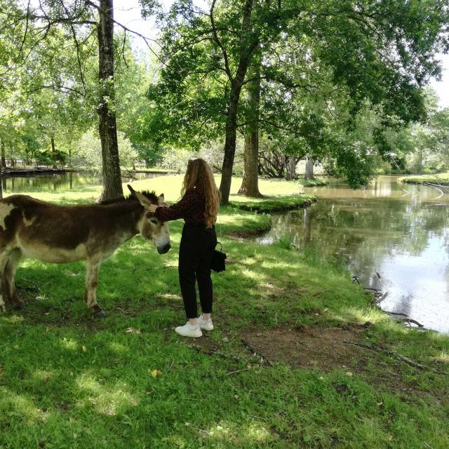 Parc Le Bournat au Bugue