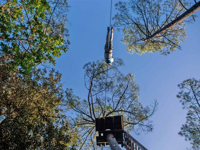 La Forêt des écureuils : Accrobranche et Via Ferrata