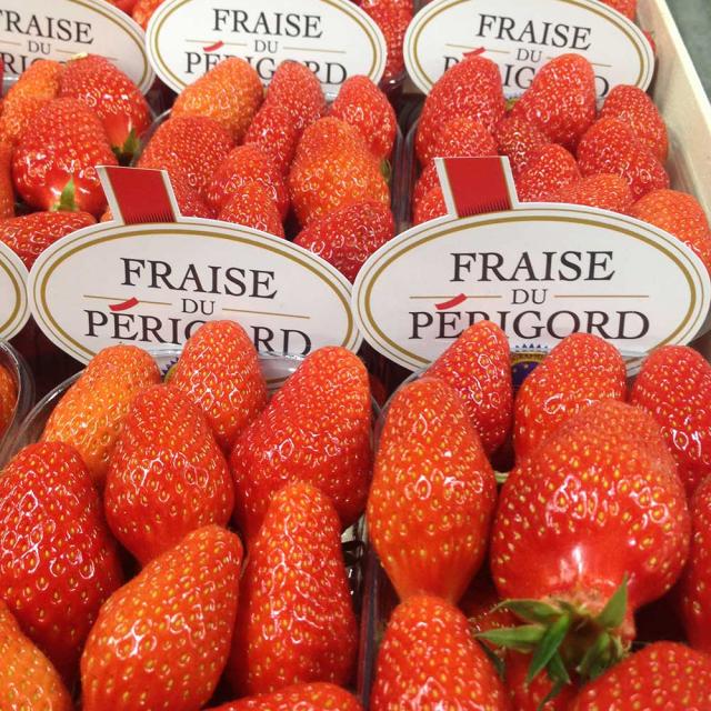 Fraise Du Périgord