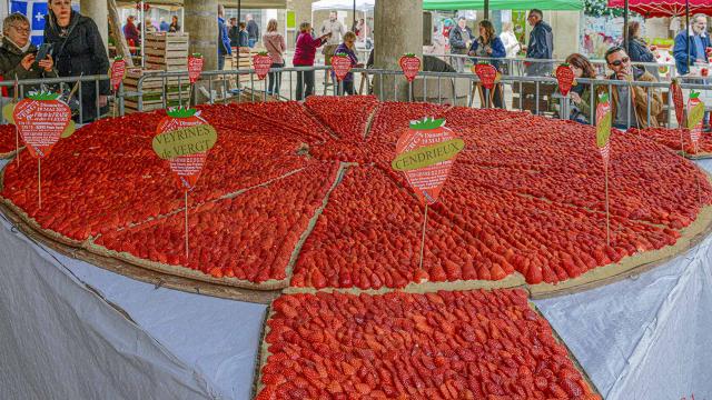 Fête de la Fraise à Vergt