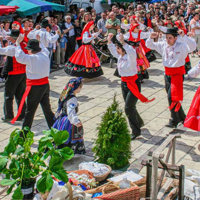 Fête de la Fraise à Vergt