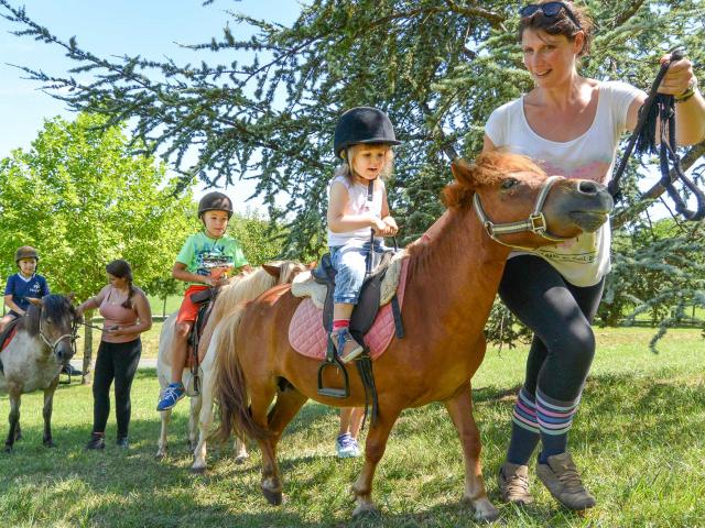 Eté actif - Baby poney