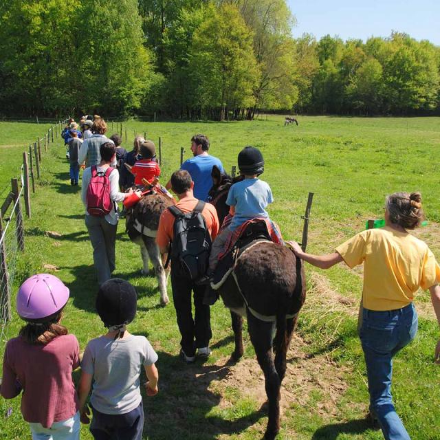 Balade à dos d'âne en Périgord Limousin