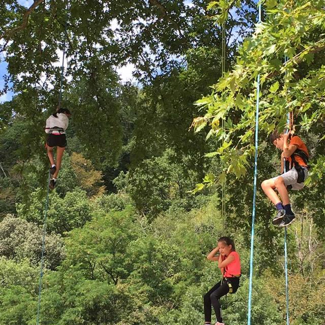 Eté actif - Grimpe d'arbre