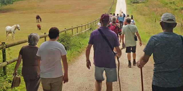 Eté actif Dordogne - Randonnée