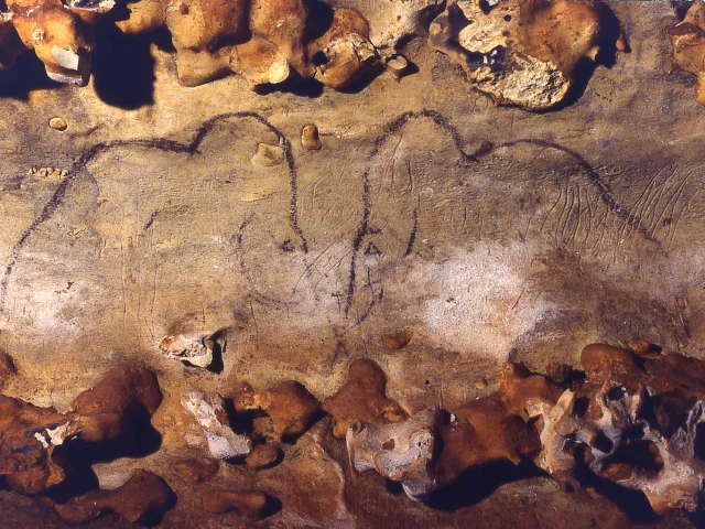 Grotte de Rouffignac