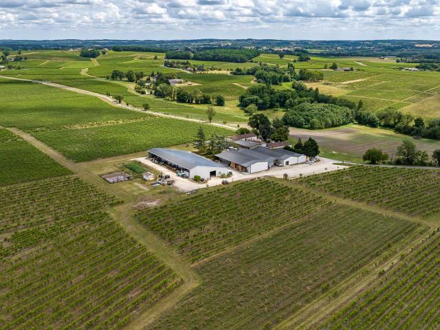 Domaine de Grange Neuve à Pomport