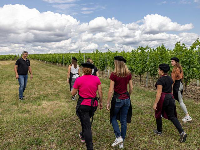 Domaine de Grange Neuve à Pomport