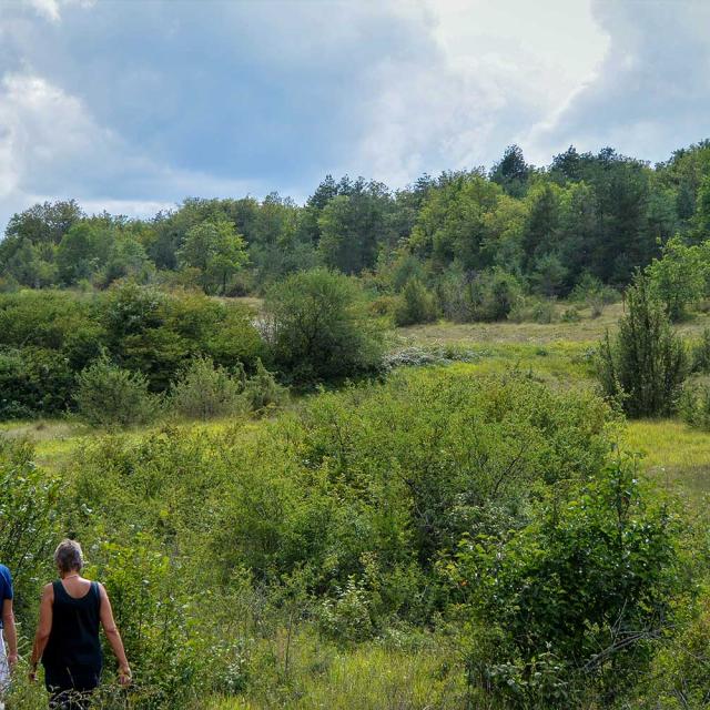 Causse de l'Isle