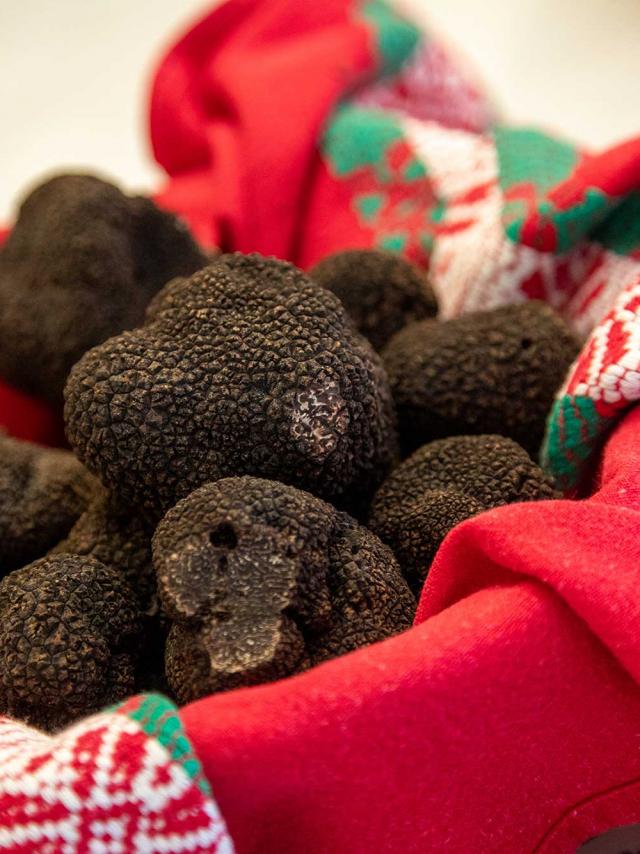 Fête de la Truffe à Sarlat