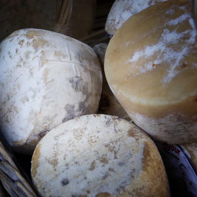 Fromage produit en Périgord