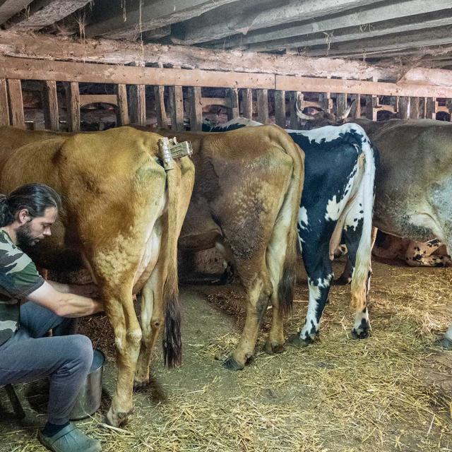 Ferme de Beausoleil à Sarlande