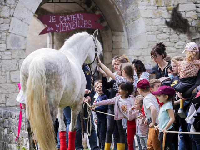 Animation équestre au Château de Bridoire