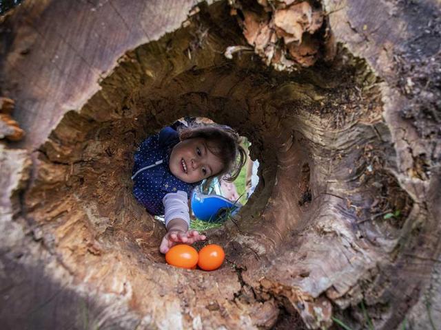 Chasse aux oeufs de Pâques au Château de Bridoire