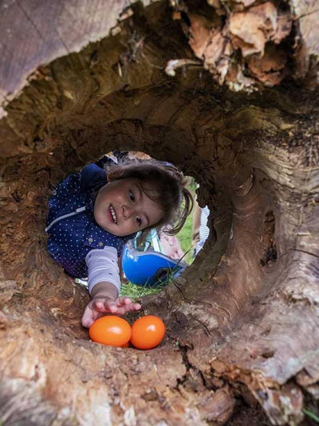 Chasse aux oeufs de Pâques au Château de Bridoire