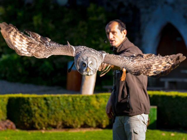 Spectacle de rapaces au Château des Milandes