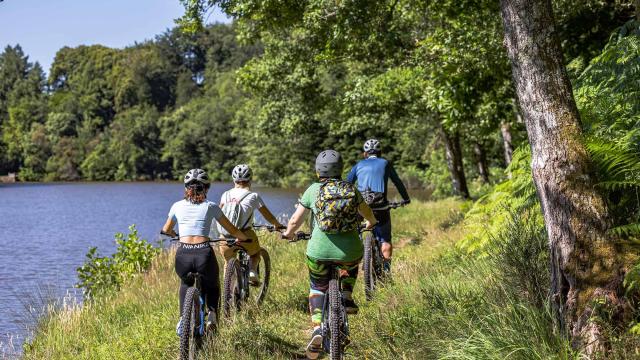 Randonnée à vélo dans le Parc naturel régional Périgord Limousin