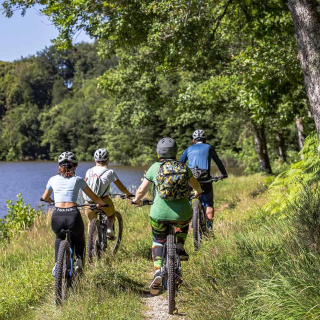 Randonnée à vélo dans le Parc naturel régional Périgord Limousin