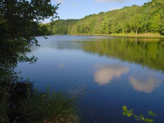 Etang de la Barde à La Coquille