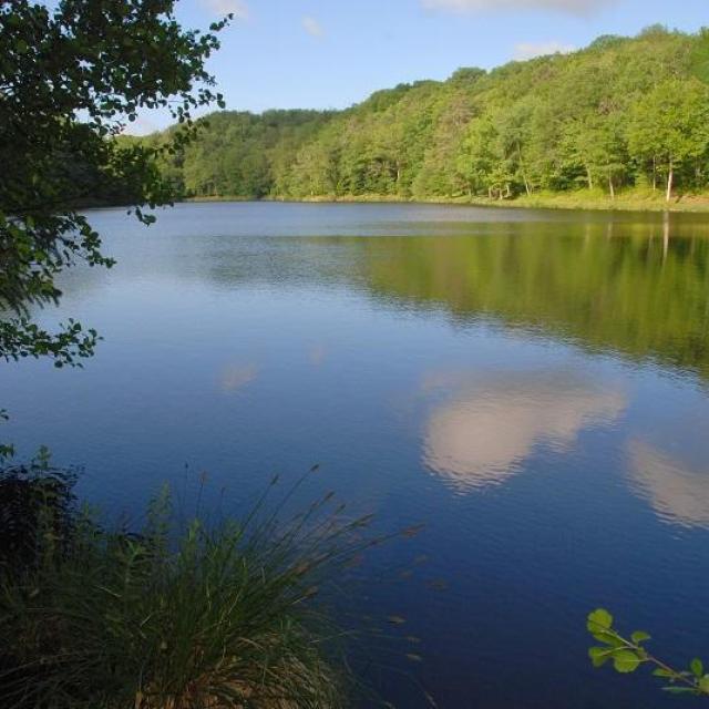 Etang de la Barde à La Coquille