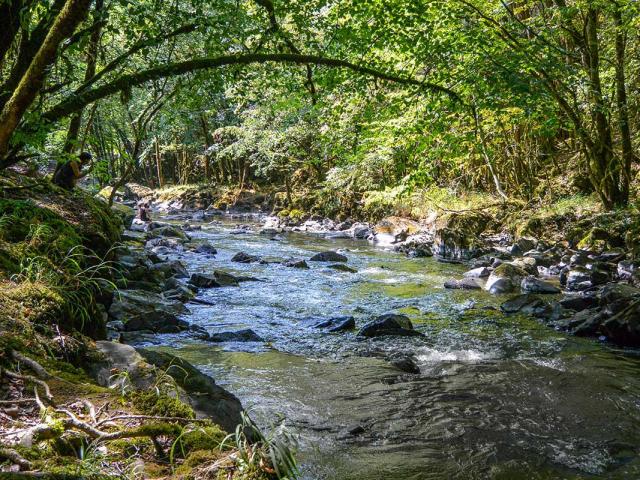 Gorges de l'Auvézère