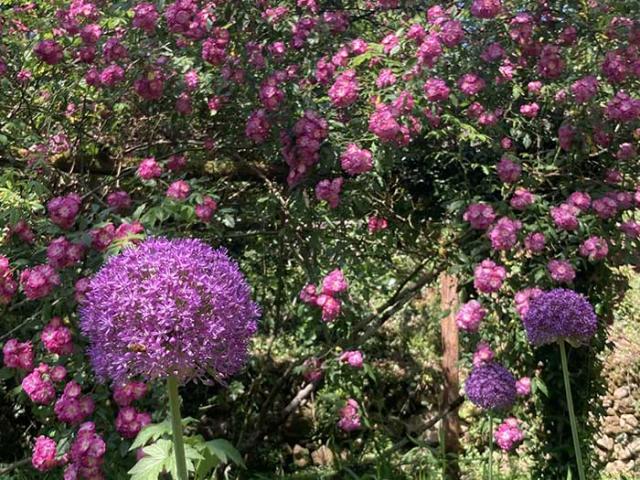 Jardins de Cadiot à Carlux