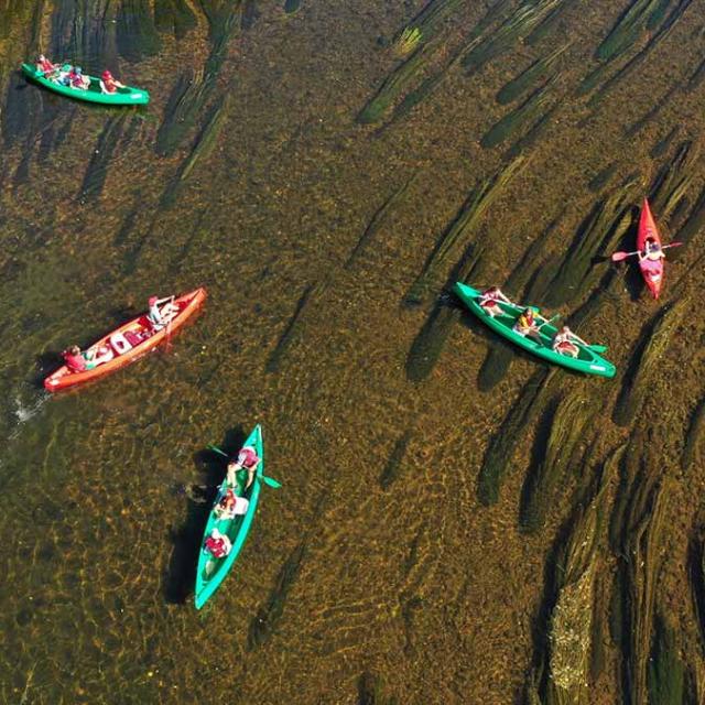 Canoë sur la Vézère